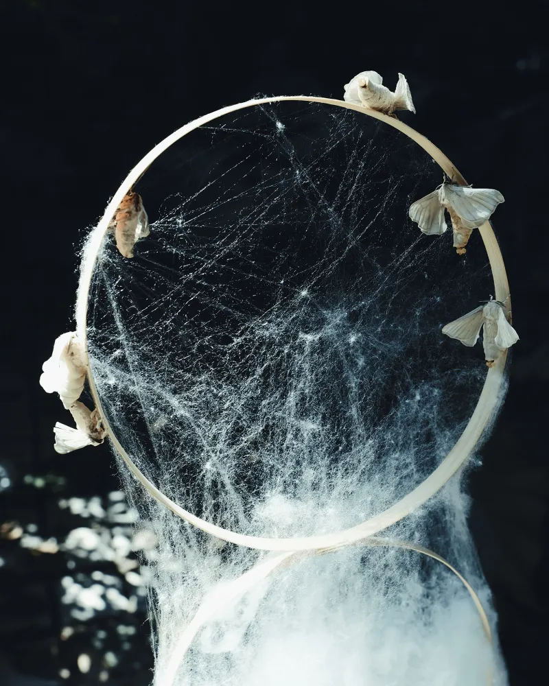 Photo: Yiming Zhu