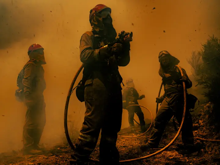 Fire and Ash