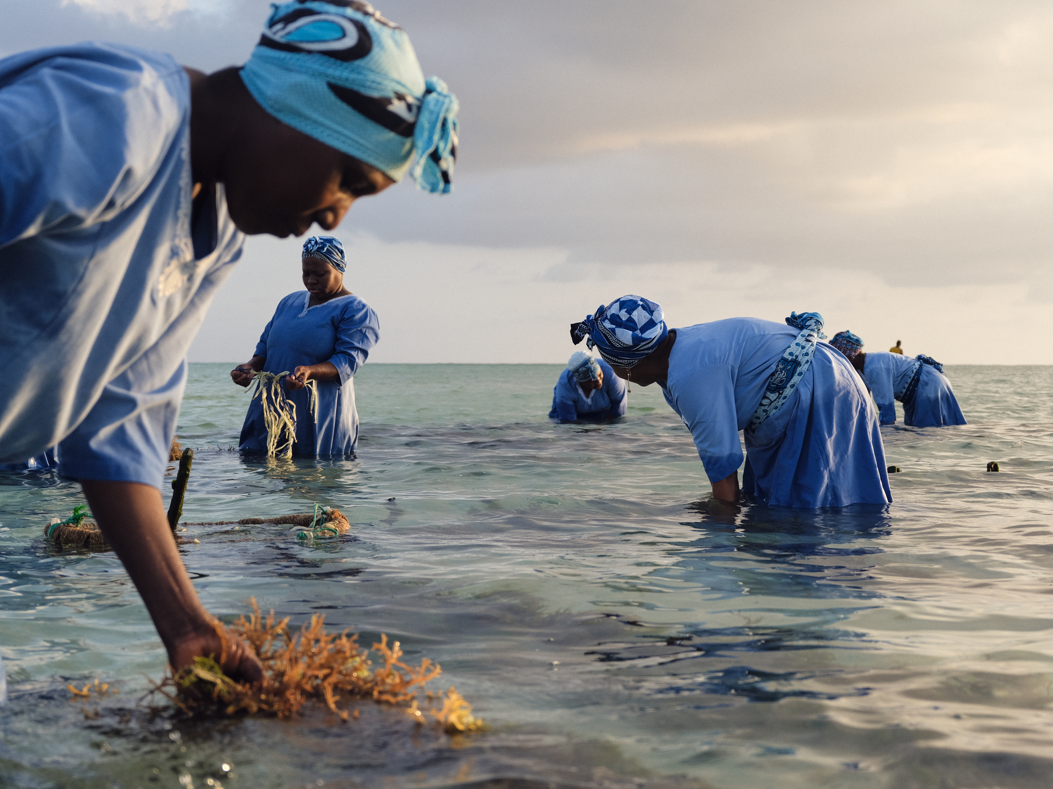 Panel on Climate Photography: The Line Between Evidence, Empathy and Exploitation