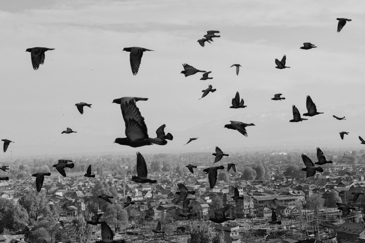 Groß (1 - AG 1 - 9bc79601-646a-4184-934f-2d5fadedf46f).jpeg