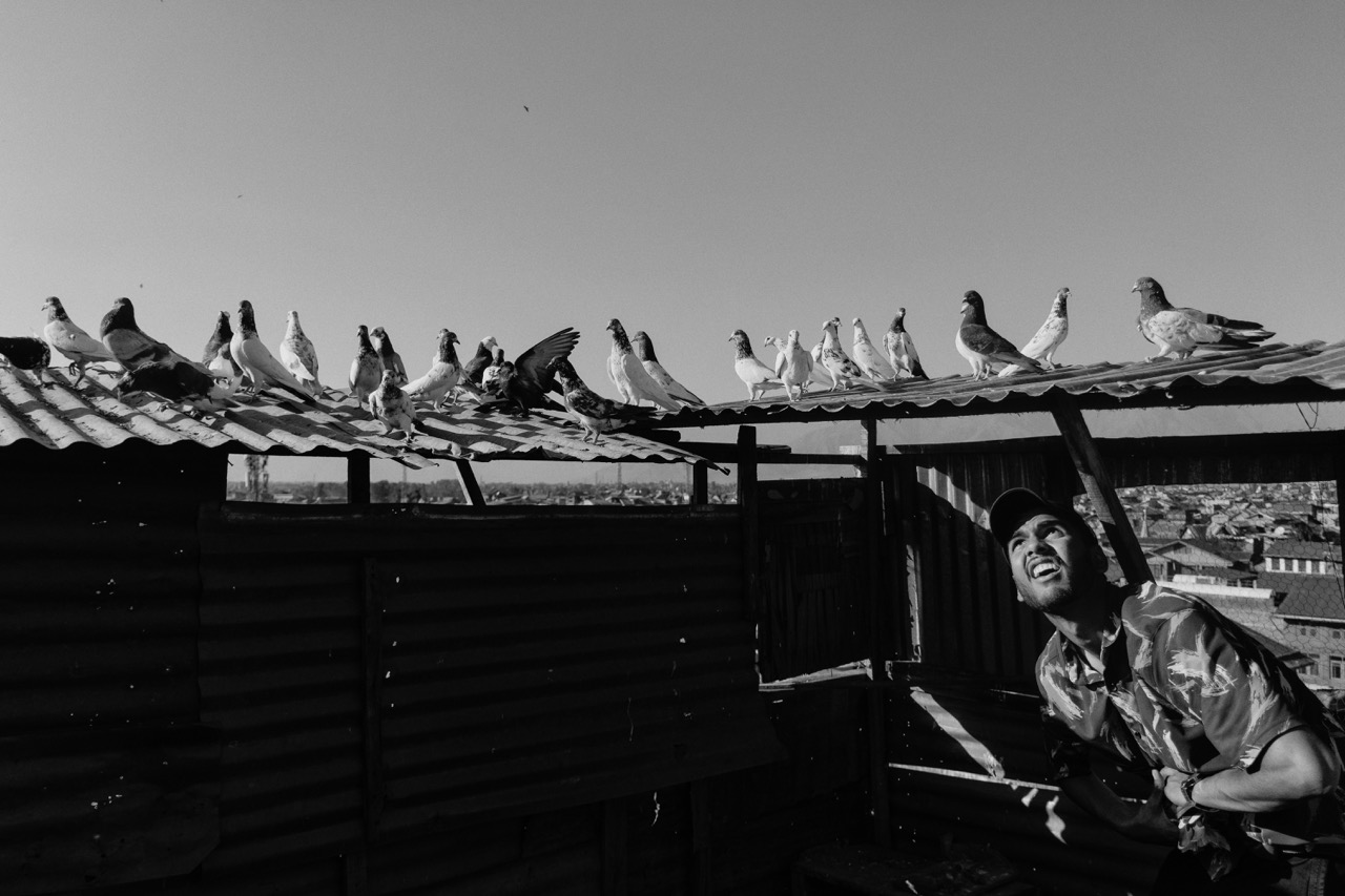 Groß (6 - AG 6 - 4affdee7-2eba-432c-a39a-3700537180b3).jpeg