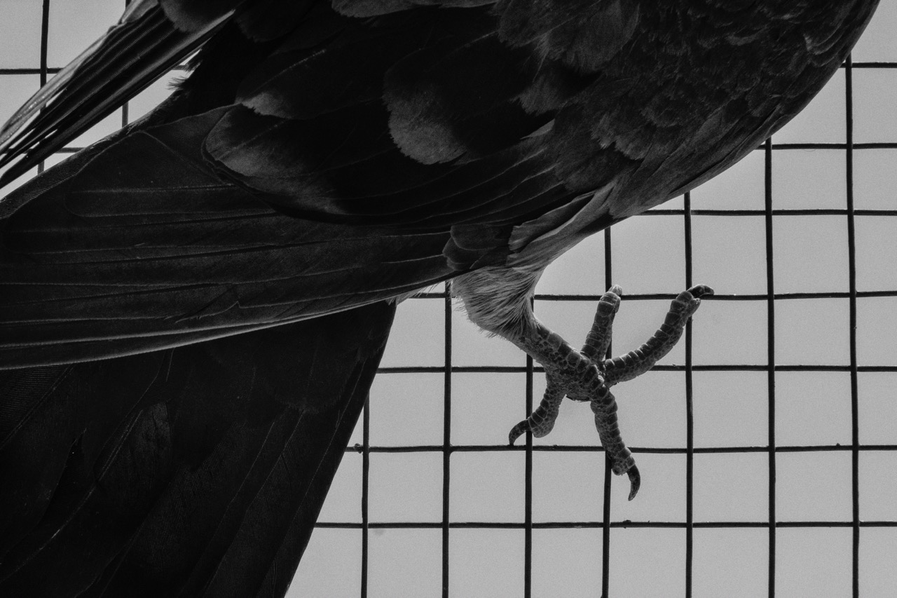 Groß (5 - AG 5 - bca9f427-1239-437d-869f-559c296d9e30).jpeg
