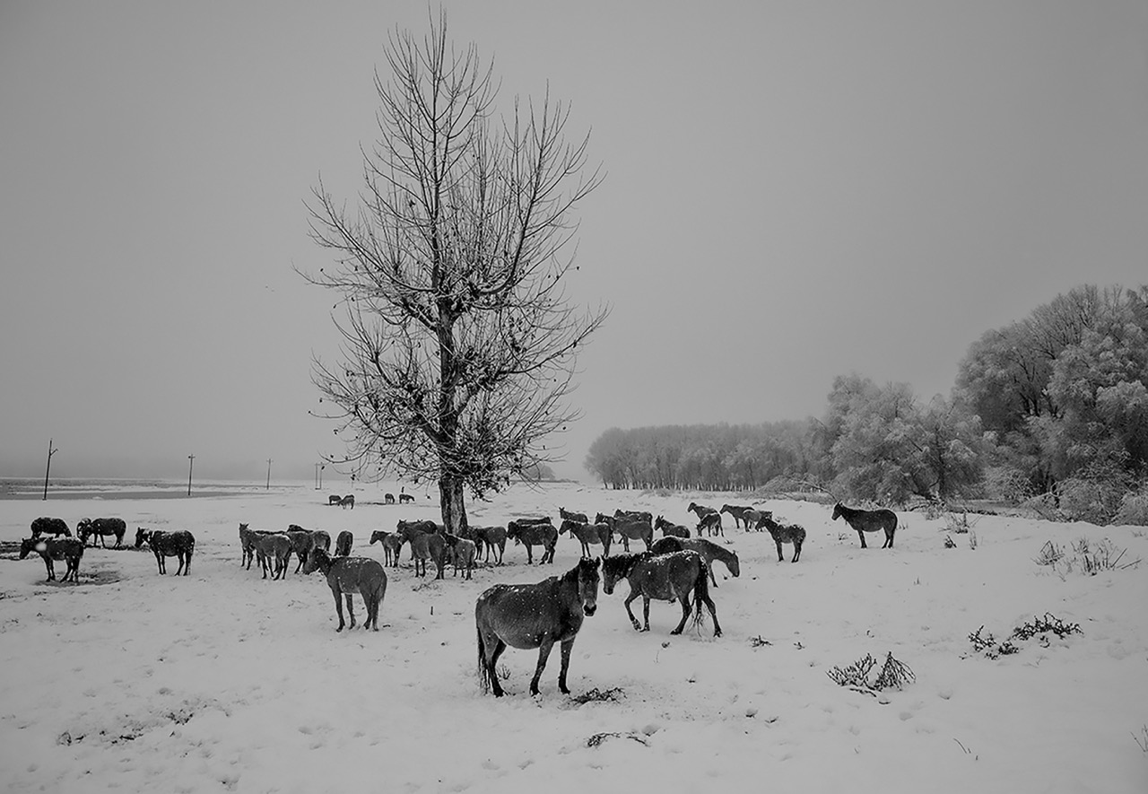 Groß (8 - 8 - ea9f663a-7a1c-42b3-8766-f3342310ddbb).jpeg