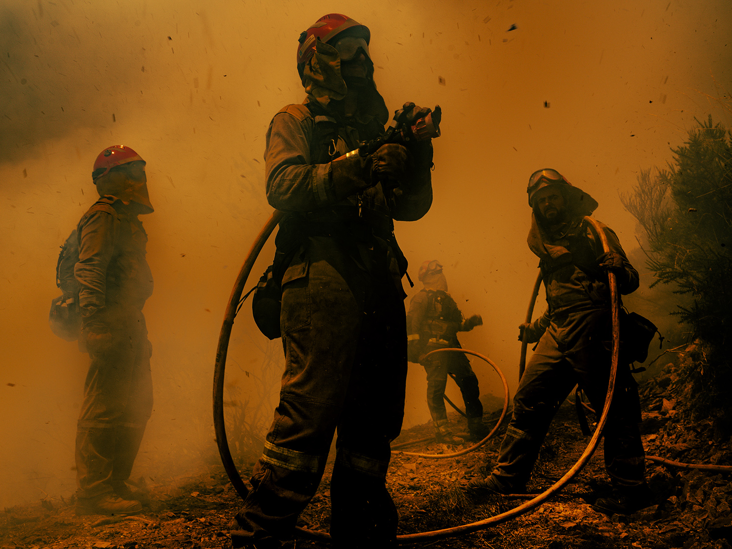 5 - fire_and_ashes_005 - deedfcbe-83d6-4d02-8df8-2b21ad9362e3.jpg