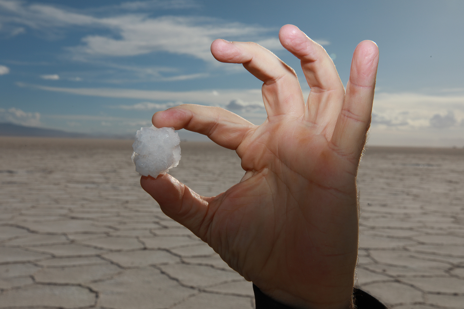 Surviving the White Gold rush in the Lithium triangle