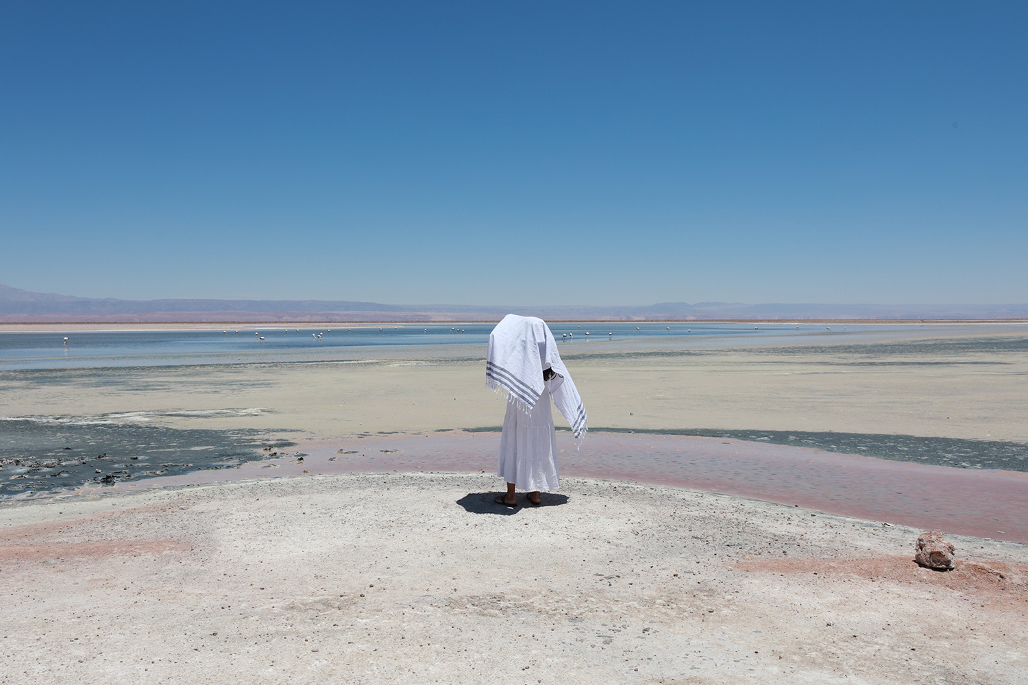 Surviving the White Gold rush in the Lithium triangle