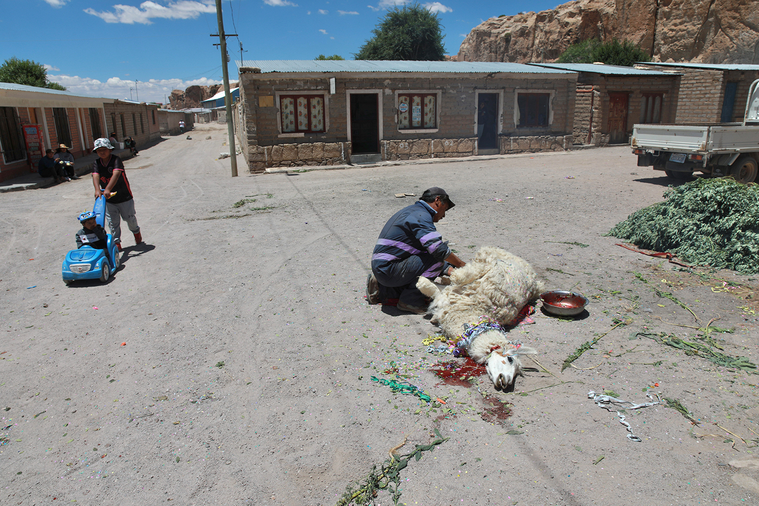 Surviving the White Gold rush in the Lithium triangle