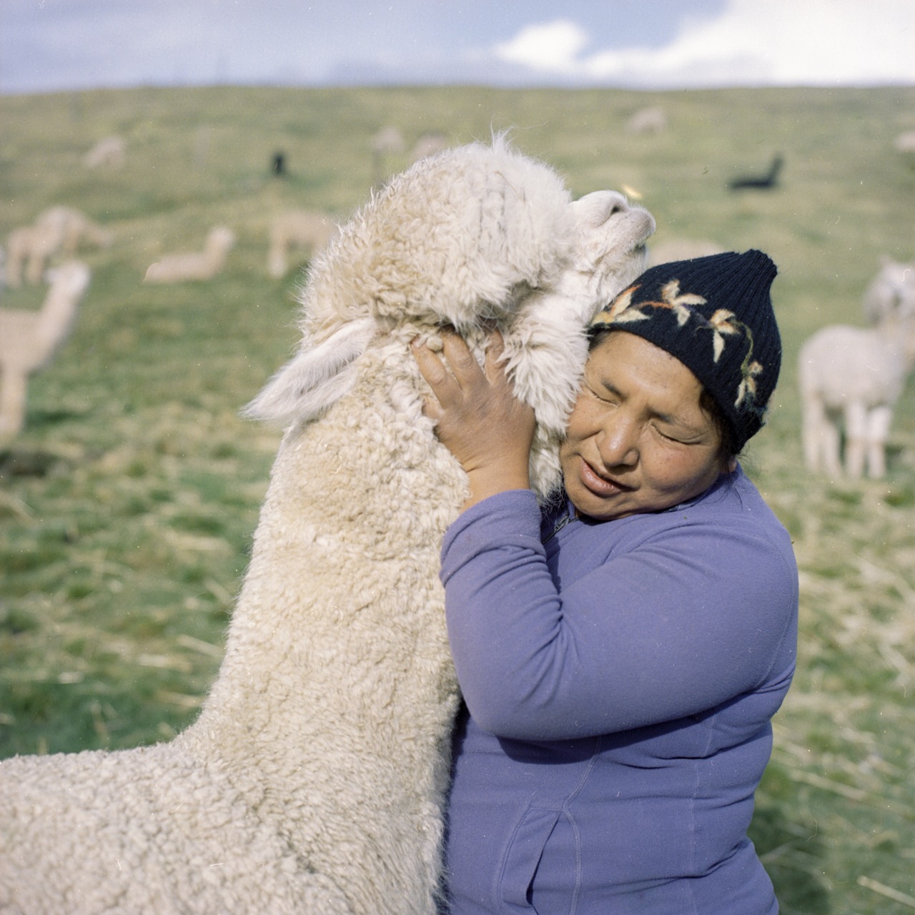 Groß (8 - El Nevado - Alejandra Orosco 08 - 3e250d7f-a7a1-46c3-a7e5-eb4b2994fa72).jpeg