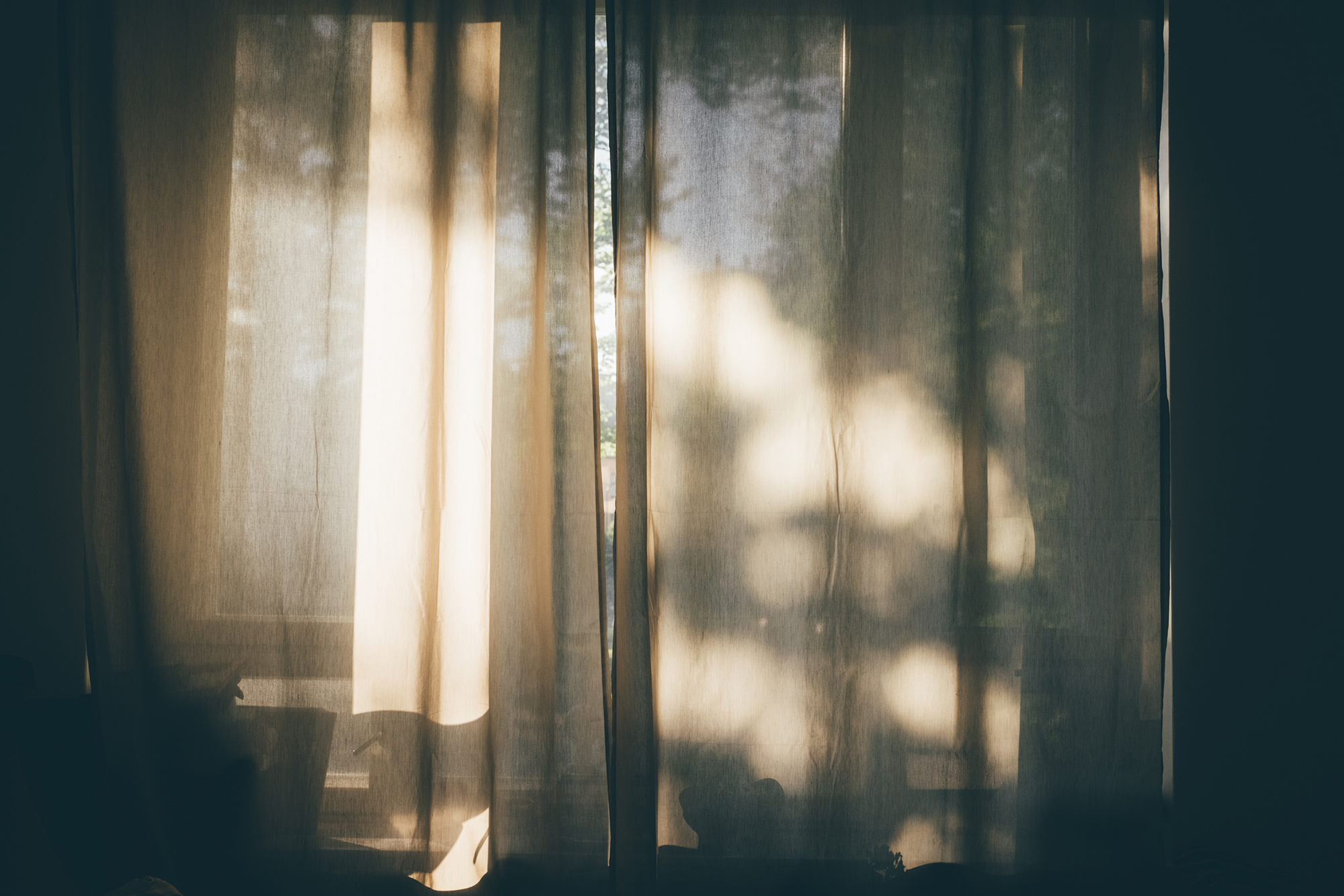 The Presence of Her