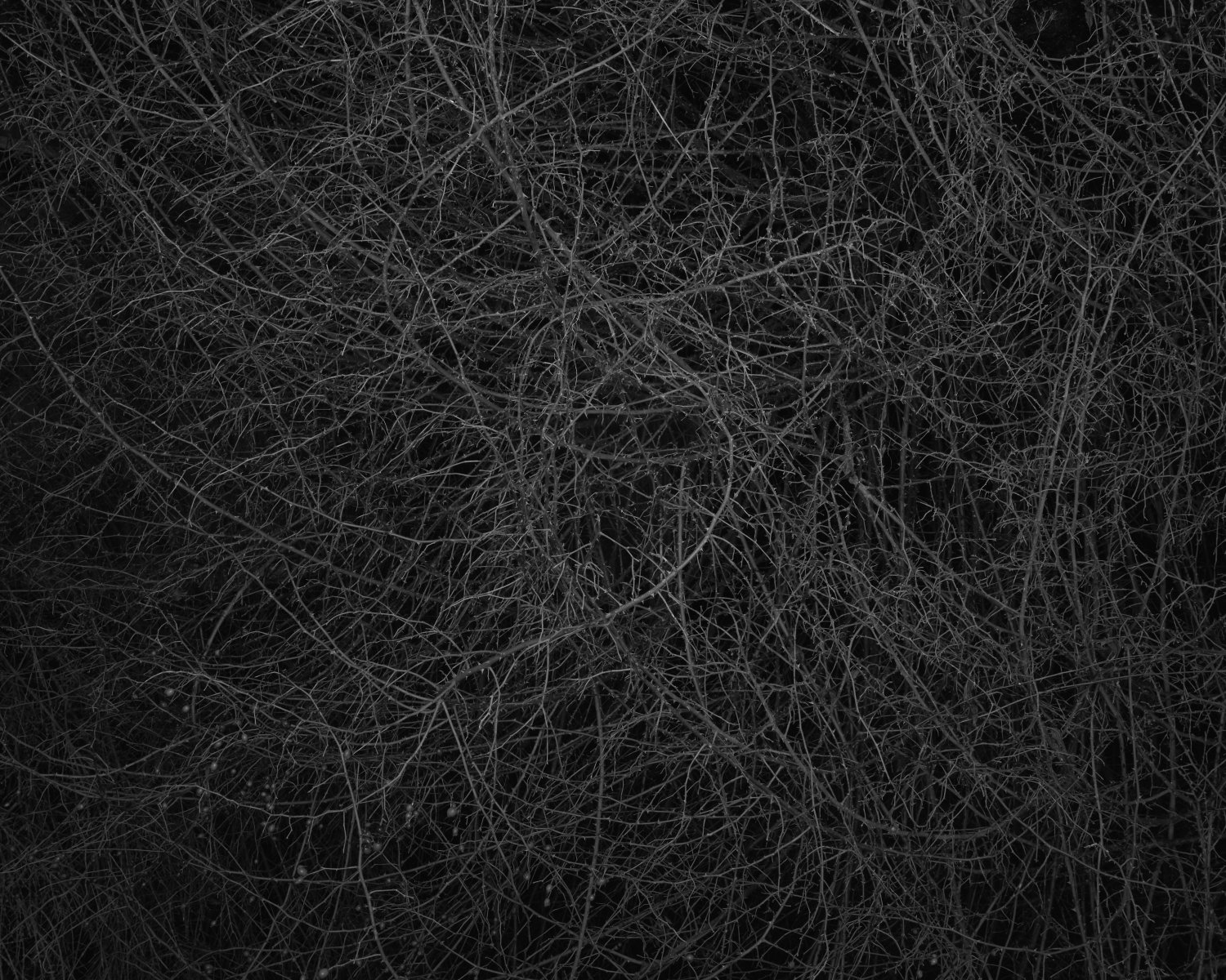 In Relation to Nothingness