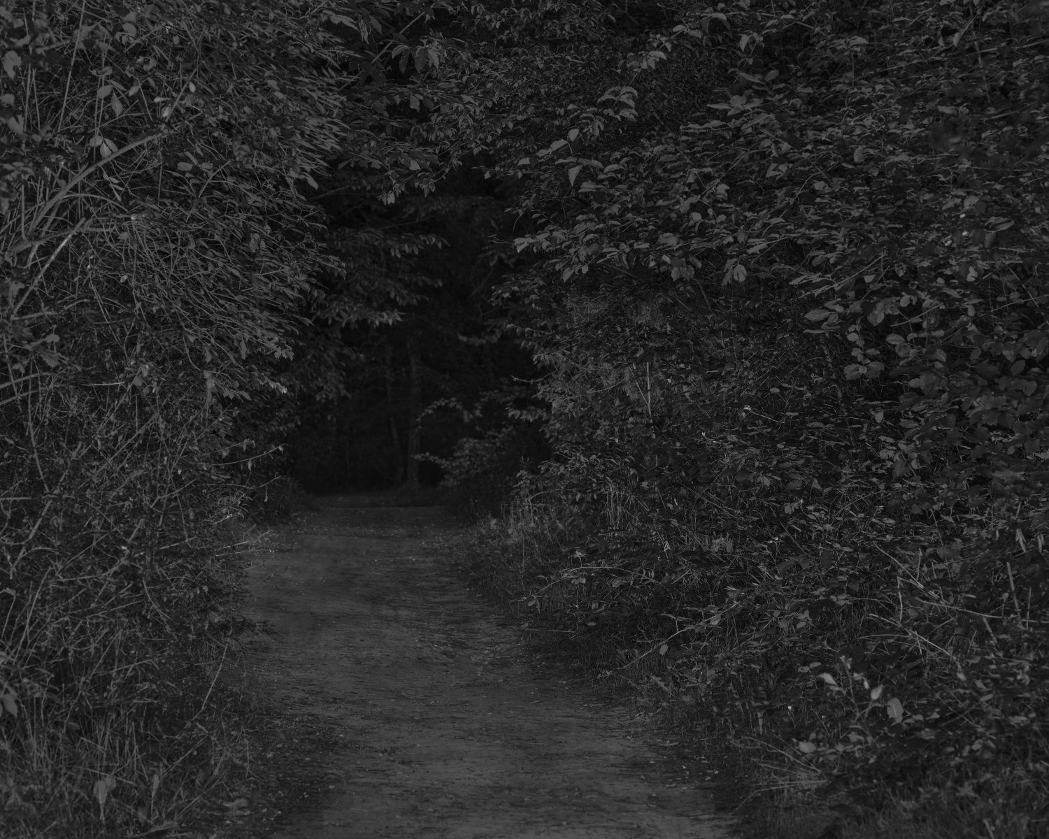 In Relation to Nothingness