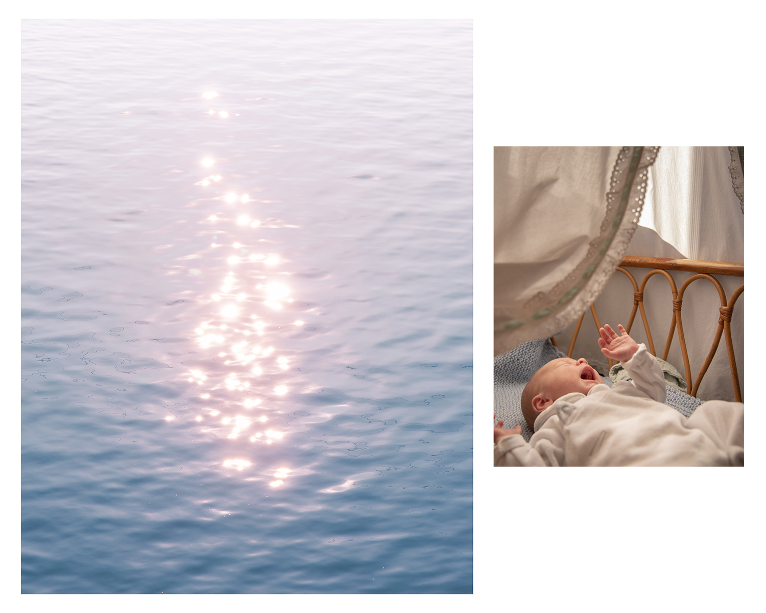 8 - DREAMING OF ZENO_Cattelan Annalaura_18 - dcd4aa38-2127-47f4-93a5-e234da55c768.jpg
