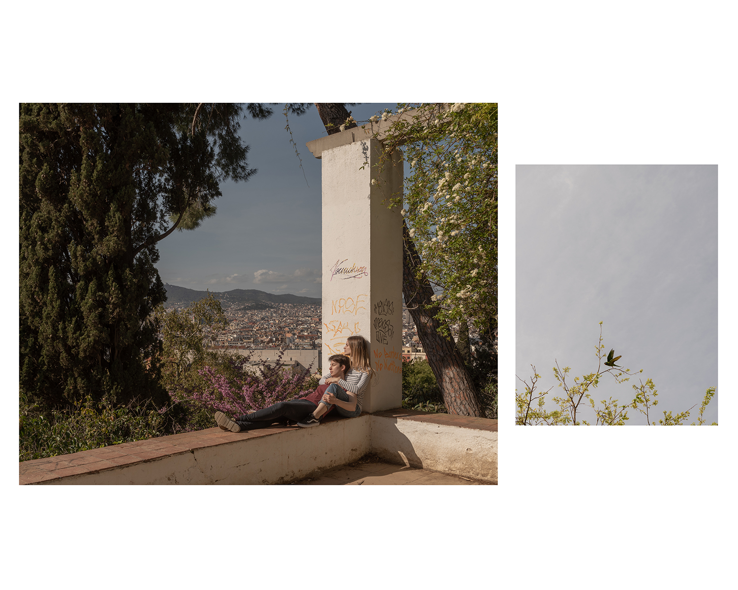 7 - DREAMING OF ZENO_Cattelan Annalaura_07 - ded9df54-1569-4808-b66f-34ba794c0ead.jpg