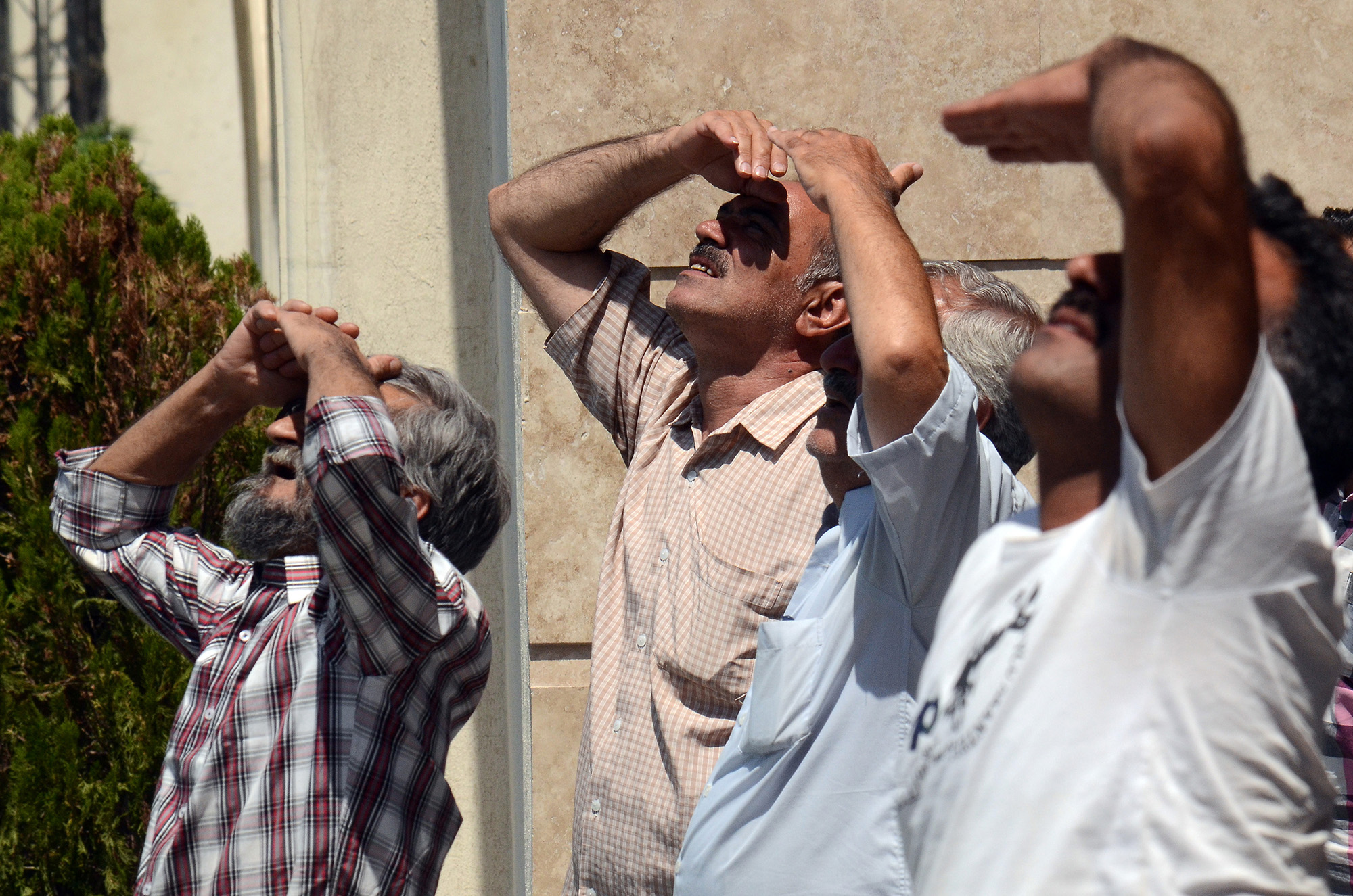 Pigeon Racing