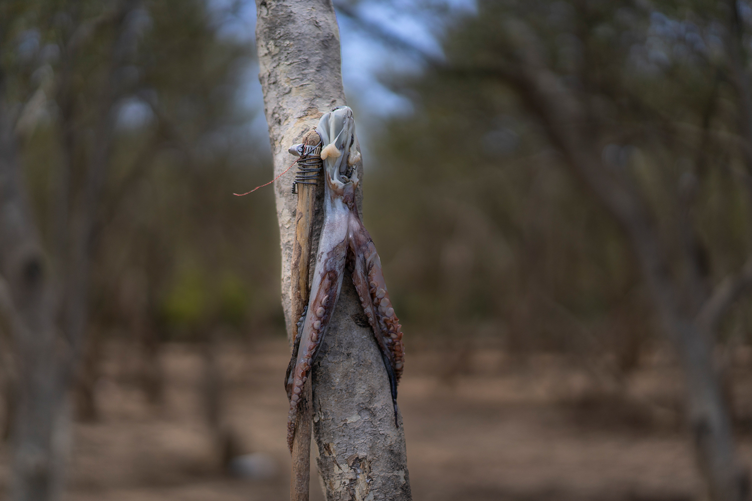 Coastal Communities on the frontline: Hobeni