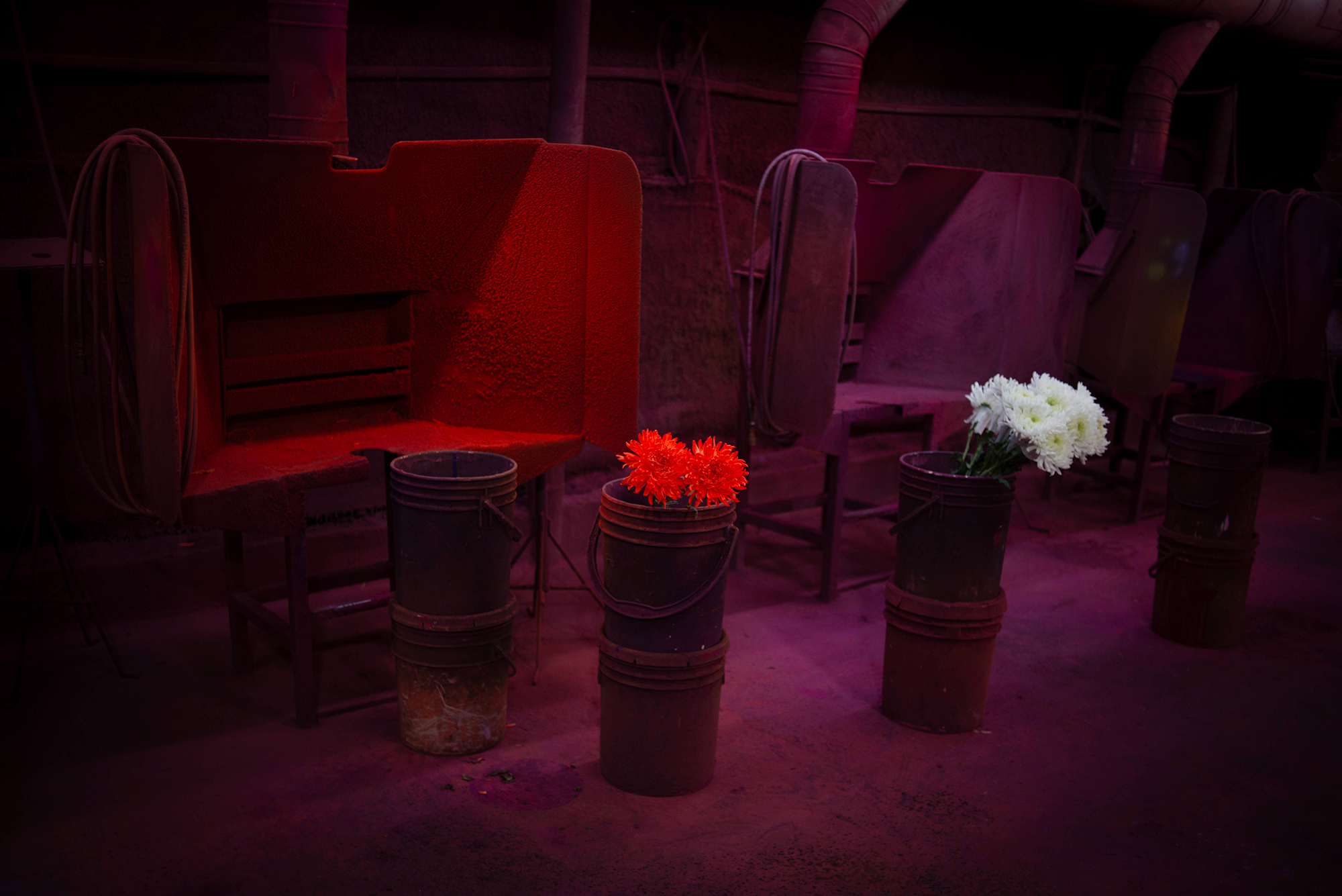 7 - Flowers of Evil - d053befd-56ae-4d4a-b21b-154bac38db44.jpg