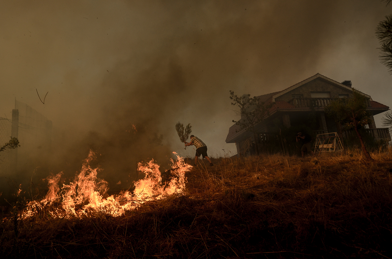 5 - Burned Land_5 - 76af0243-e17d-4cb4-bf3f-49f7b6d8cca8.jpg