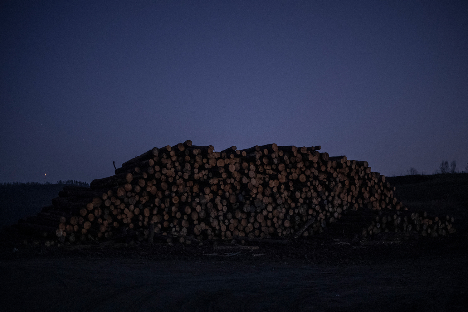 10 - Burned Land20 - 7c745855-0f57-4d3e-87b1-f69b1692b1de.jpg