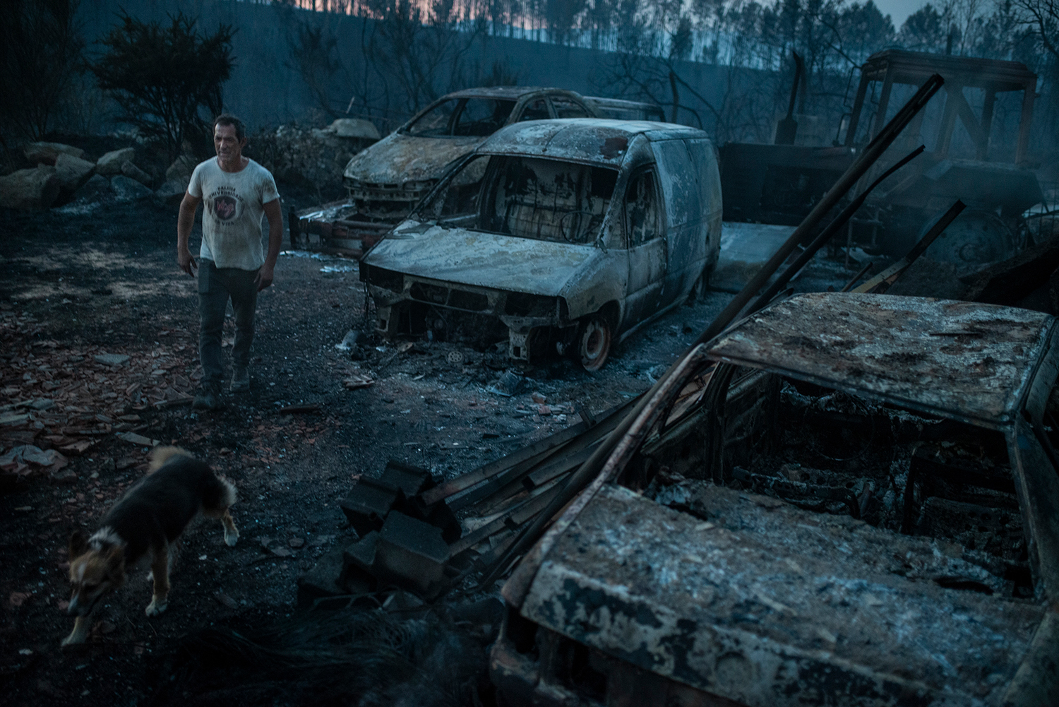 9 - Burned Land_19 - f0761cec-82fa-4e81-9302-254de149e071.jpg