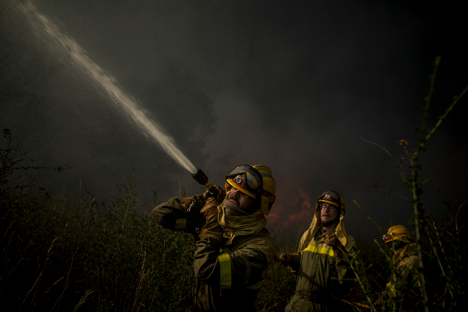 8 - Burned Land_8 - c288cd73-3c6a-4fd7-b53b-57769abf625a.jpg