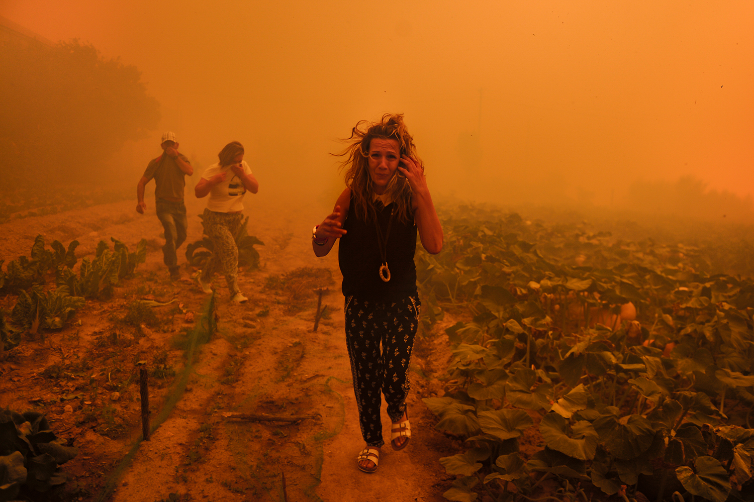6 - Burned Land_6 - 061e013b-fb4b-4959-b3a4-9df40daa8b5c.jpg