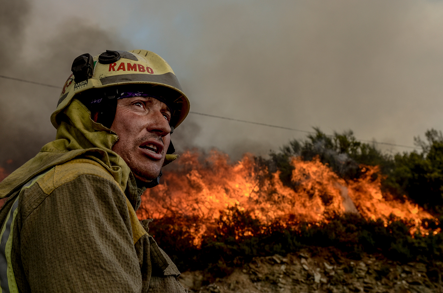 7 - Burned Land_7 - 78b9a681-3dd6-48f8-b146-4dfe9c13eb08.jpg