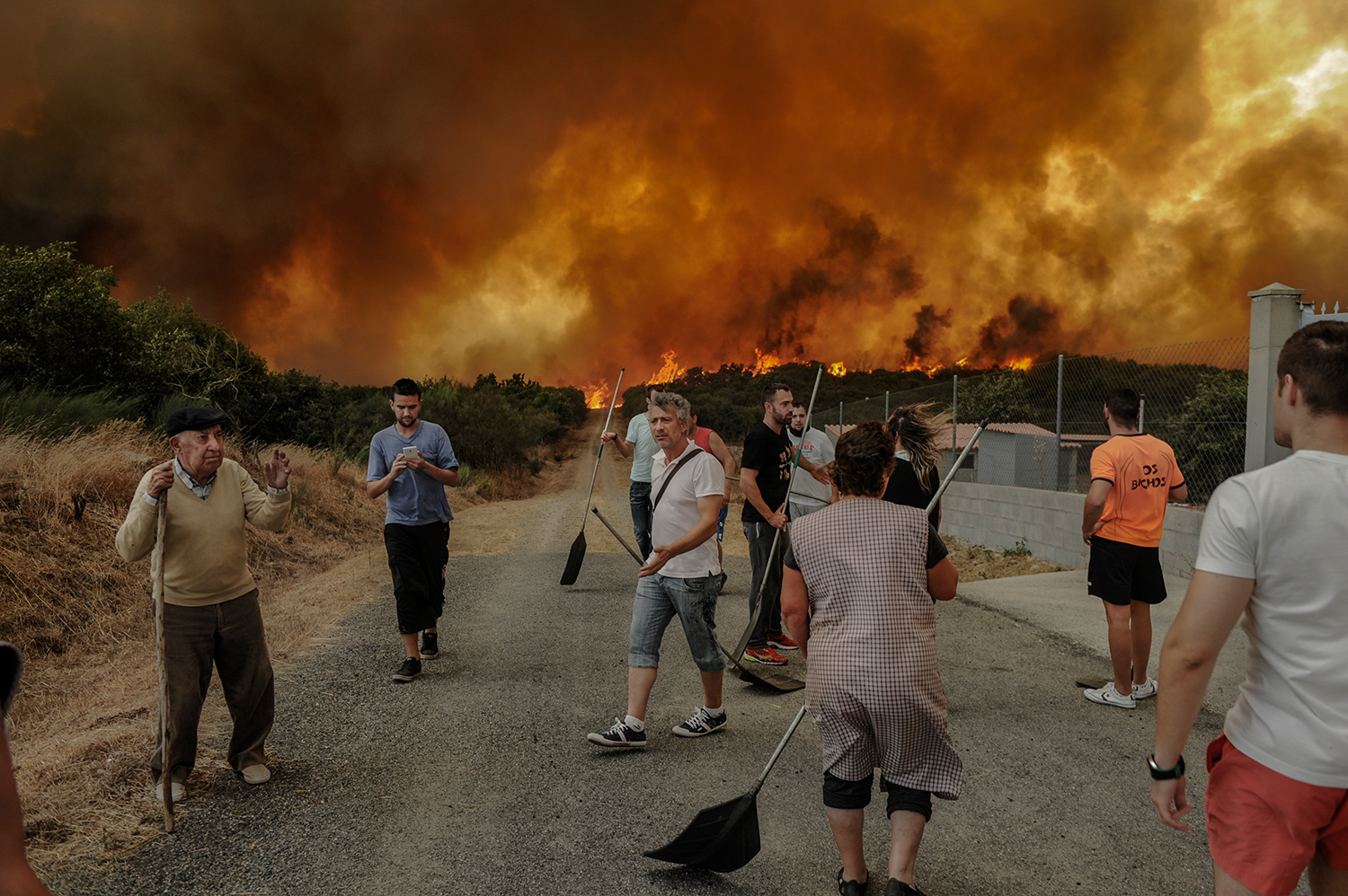 4 - Burned Land_4 - 2ed17b74-57f1-4dcf-8e61-b3f81bf69ea6.jpg