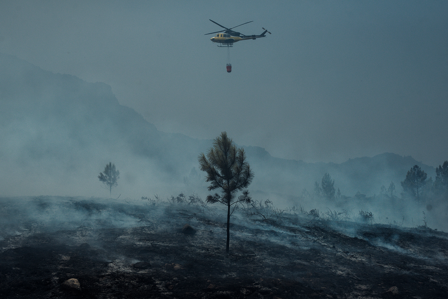 3 - Burned Land_13 - 31d1b4c4-c139-43da-987c-01526a924a14.jpg