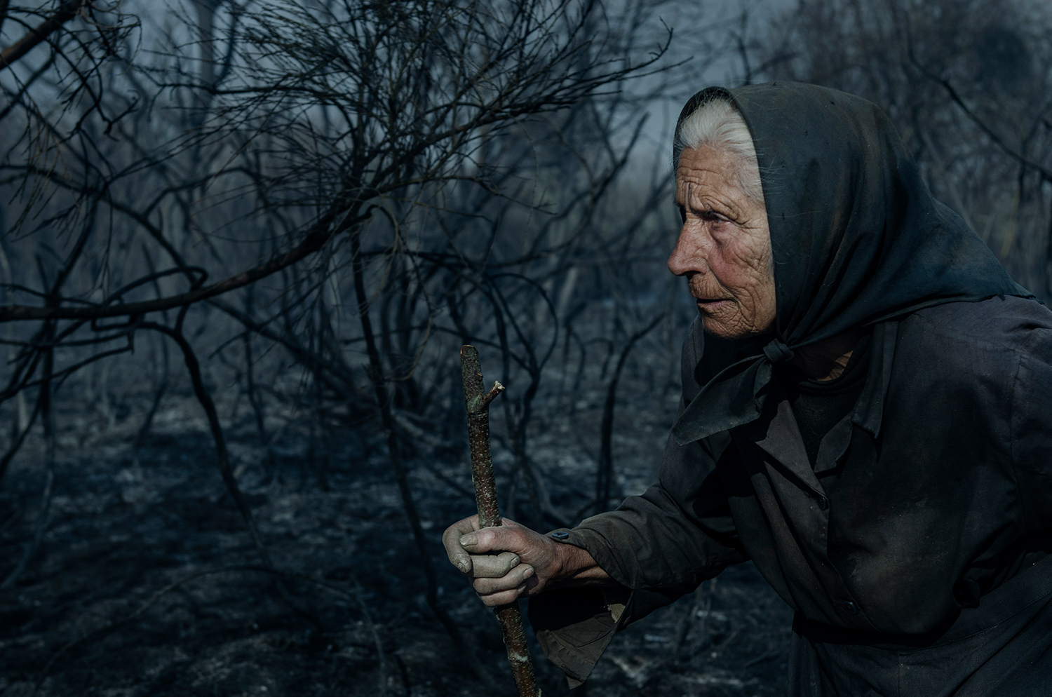 7 - Burned Land_17 - 0d1bb53b-fc45-4f2d-bd56-b0b0c5b1547a.jpg