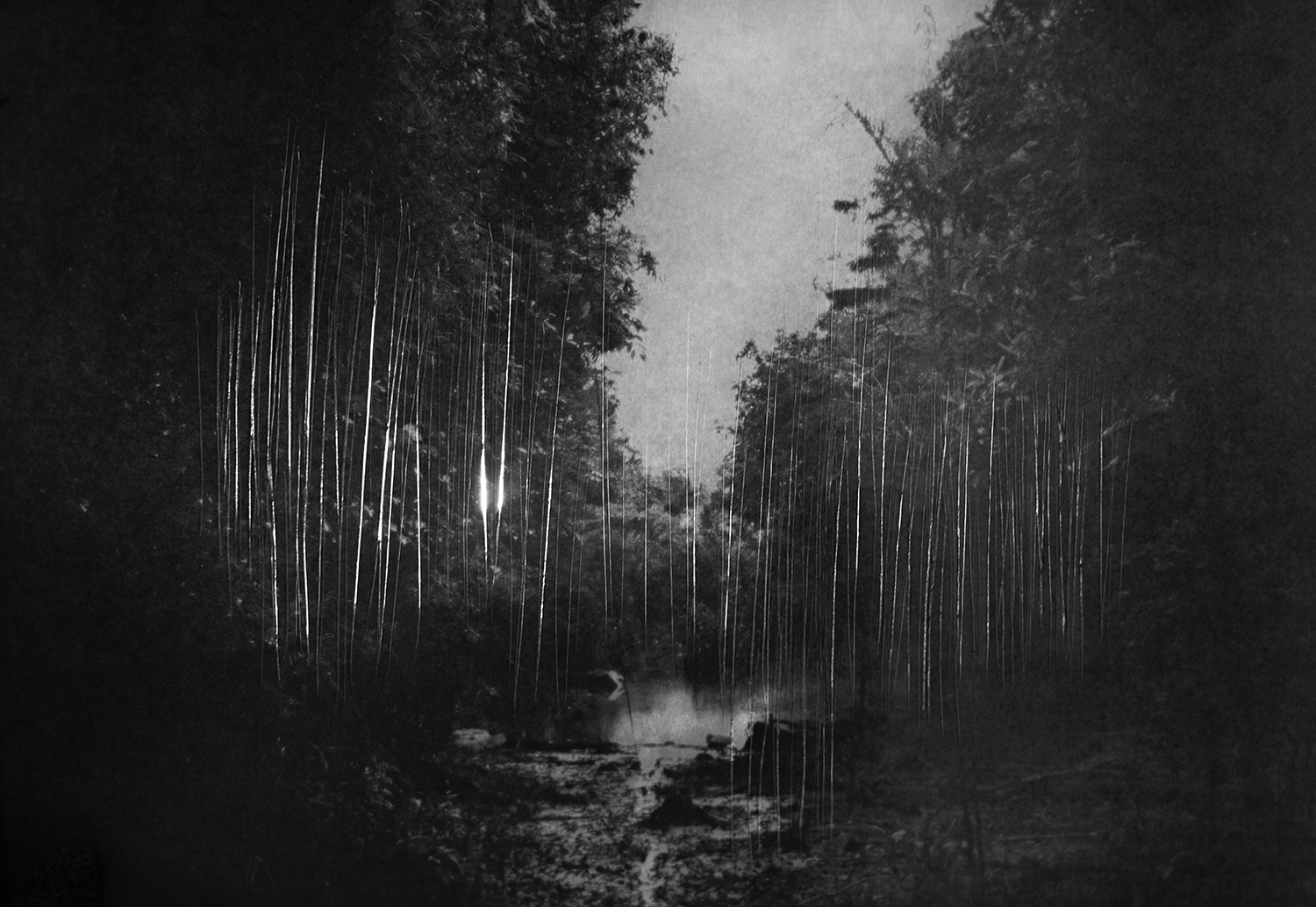 Nostalgia for the Glade