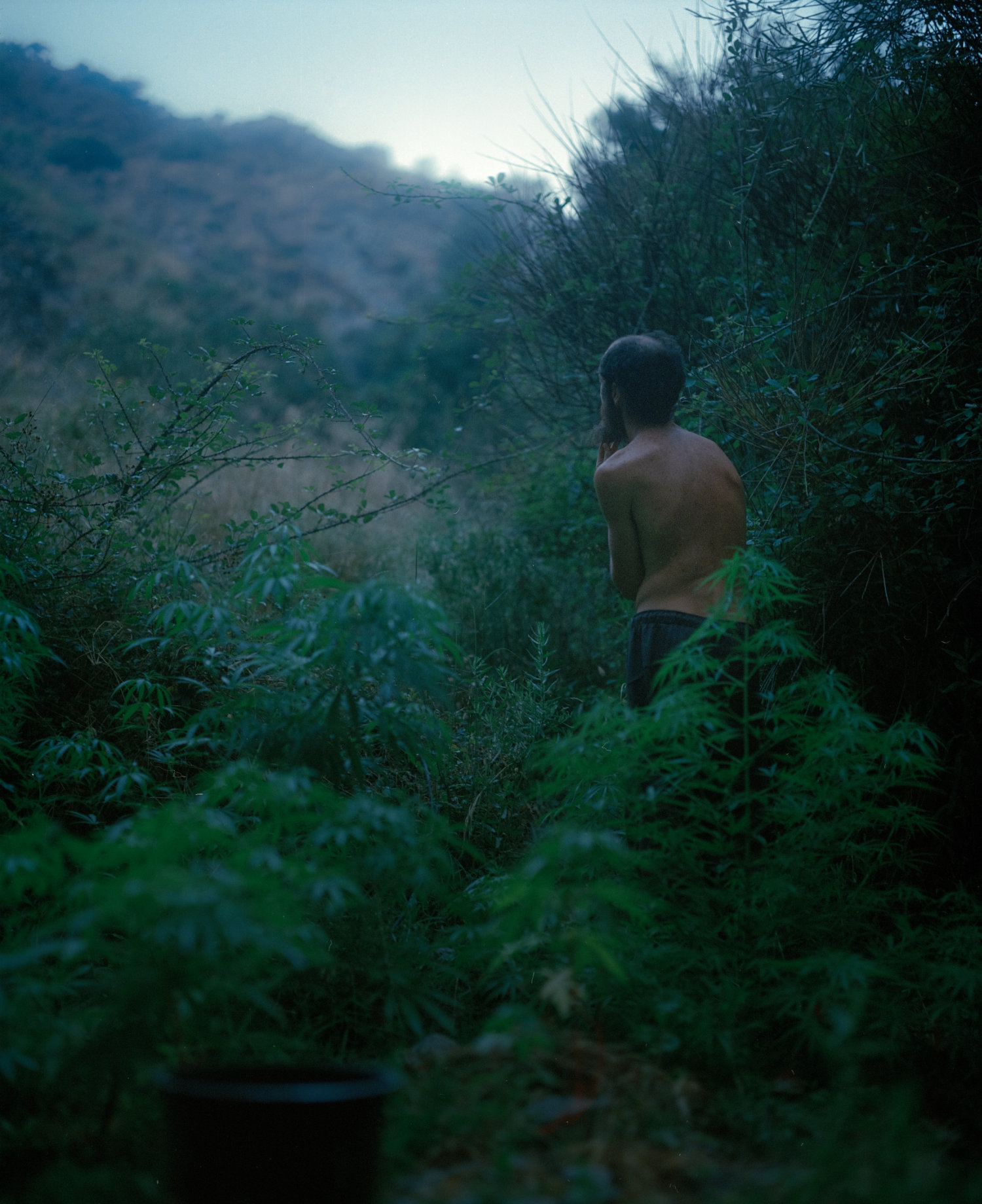 Under the Dwindling Surface