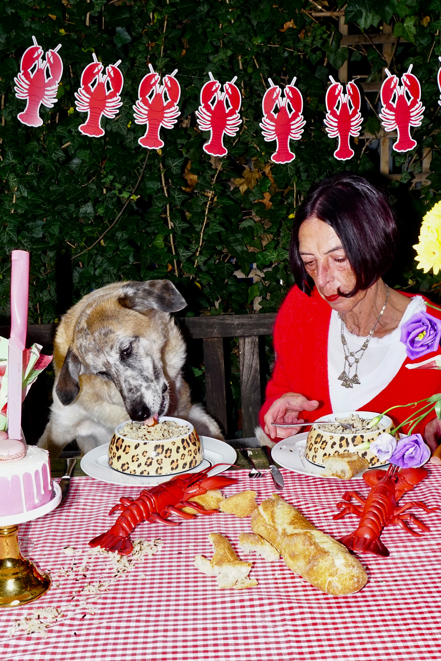 1 - Dogfriend - 5d982902-f710-456d-a50a-23e1cc155d8b.jpg