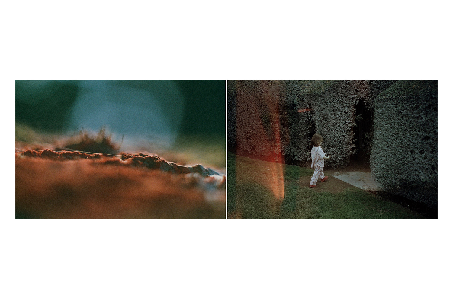 10 - Daniela Balestrin - Your gaze is green.010 - b0f94dcb-00f5-4c17-9f15-d9ce7231eb7a.jpg