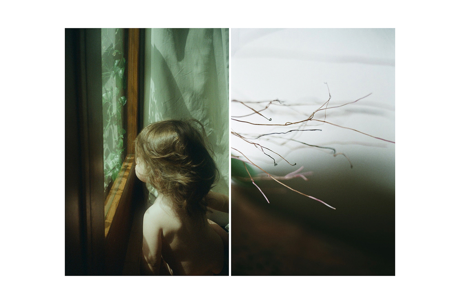 3 - Daniela Balestrin - Your gaze is green.003 - 25791b3e-d6f8-4878-9f59-57f028720bd4.jpg