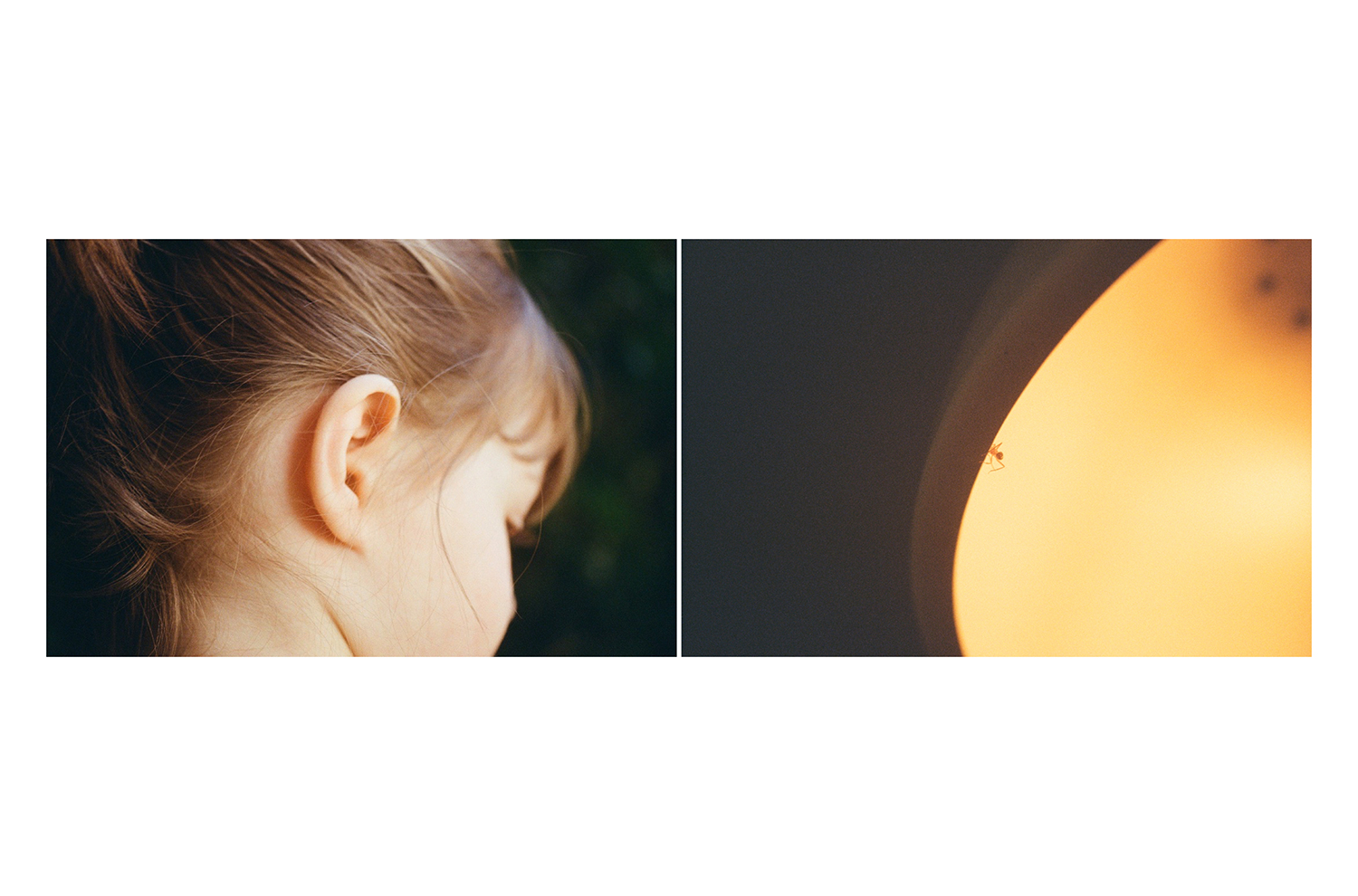 9 - Daniela Balestrin - Your gaze is green.009 - ed87c91c-9943-4c82-9c26-c89370e3f59d.jpg