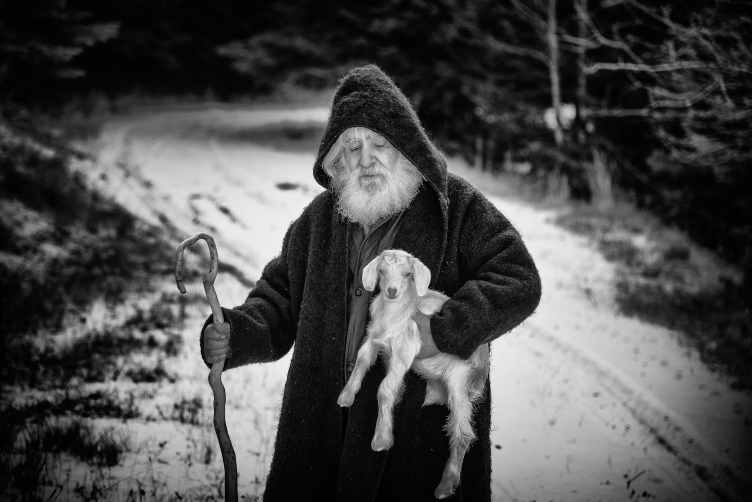 Shepherds