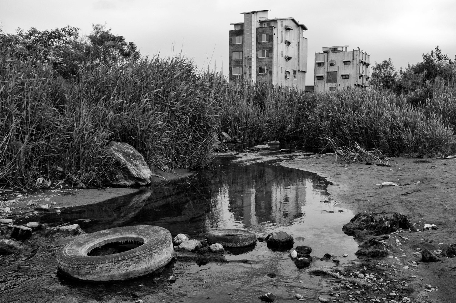 The environment of love