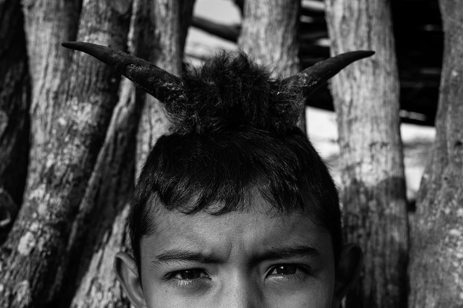 Yoluja