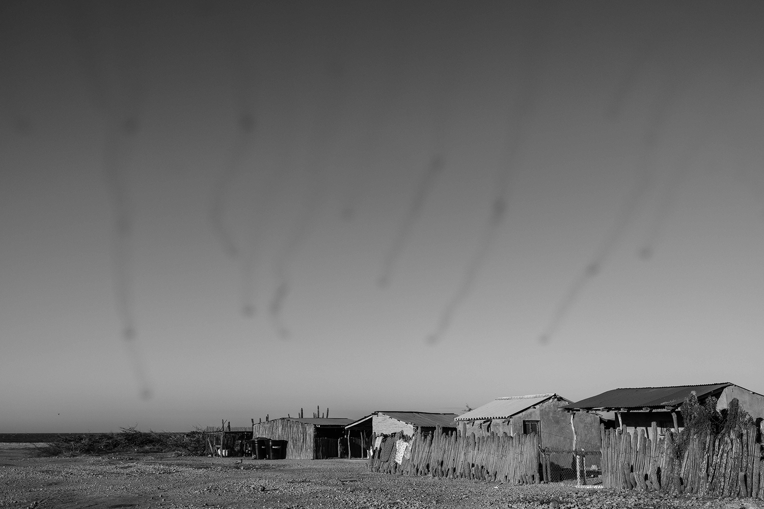 Yoluja