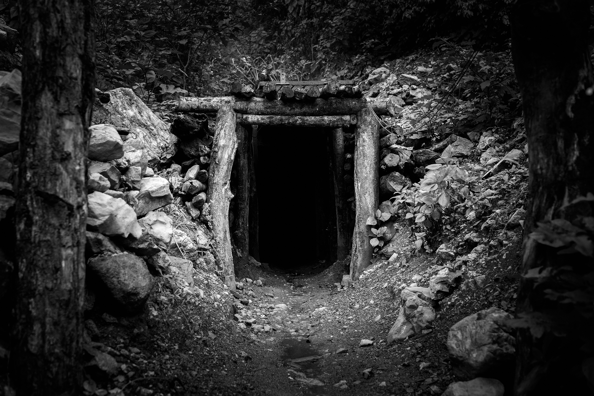 La Penumbra del Larima