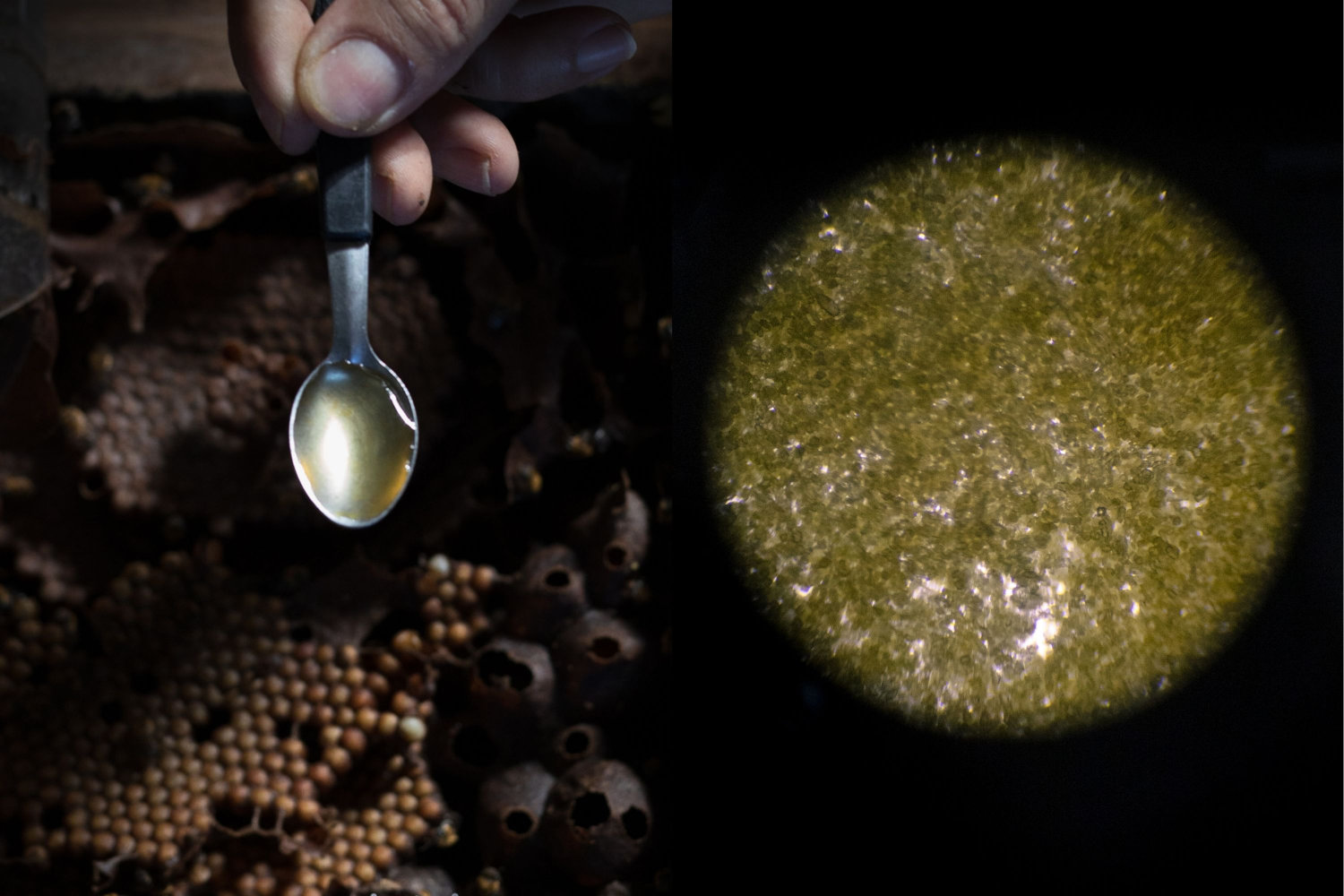 Beekeepers