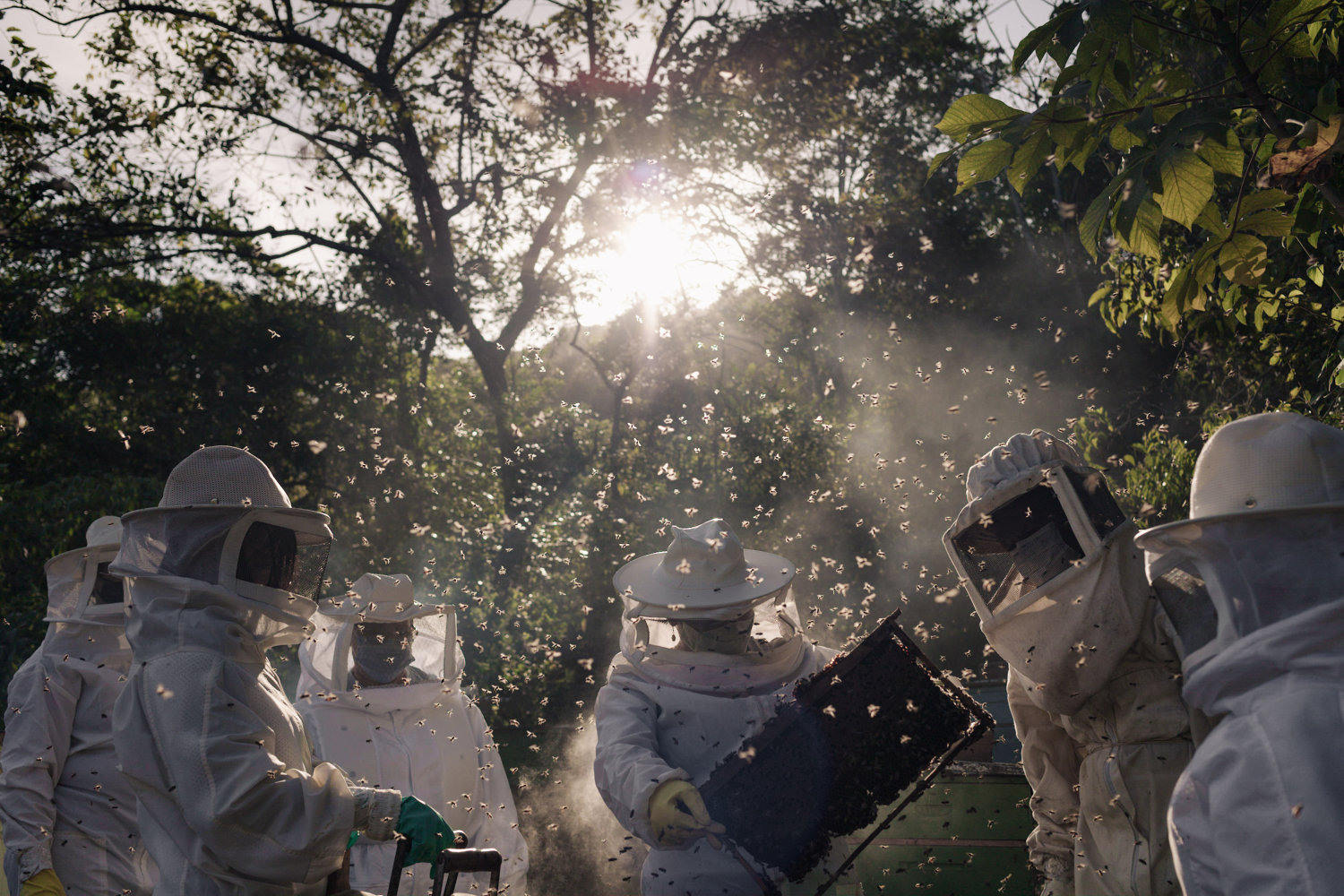Beekeepers