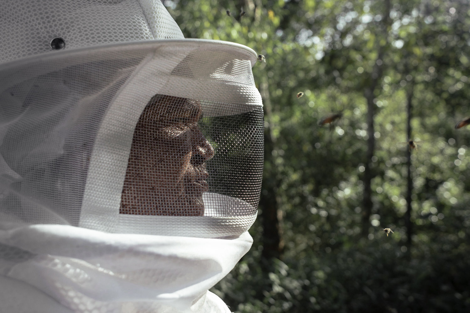 Beekeepers