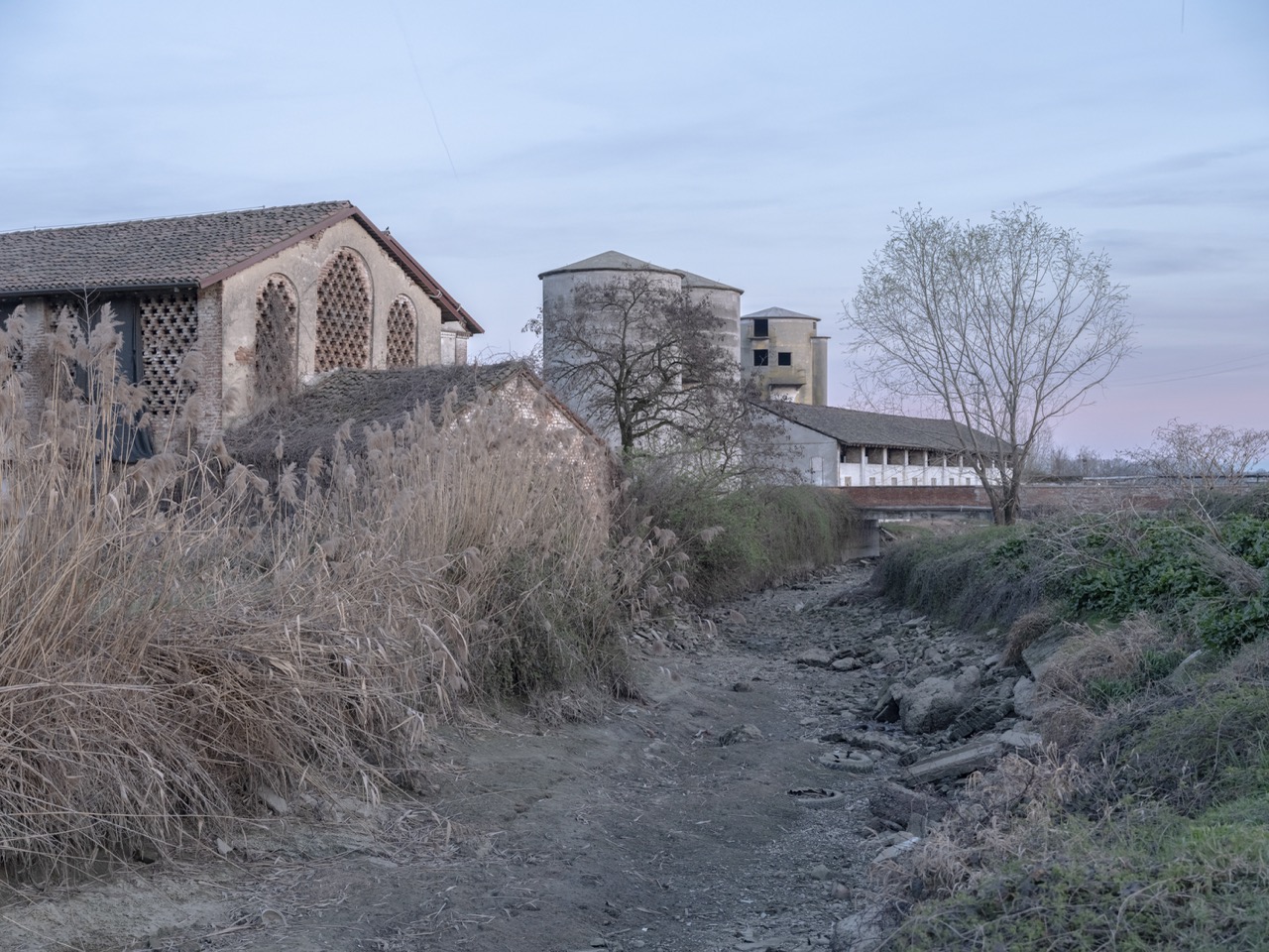 Groß (2 - Elegy from Po valley-2 - 07cfba64-34f5-4934-954e-eb131141d78e).jpeg