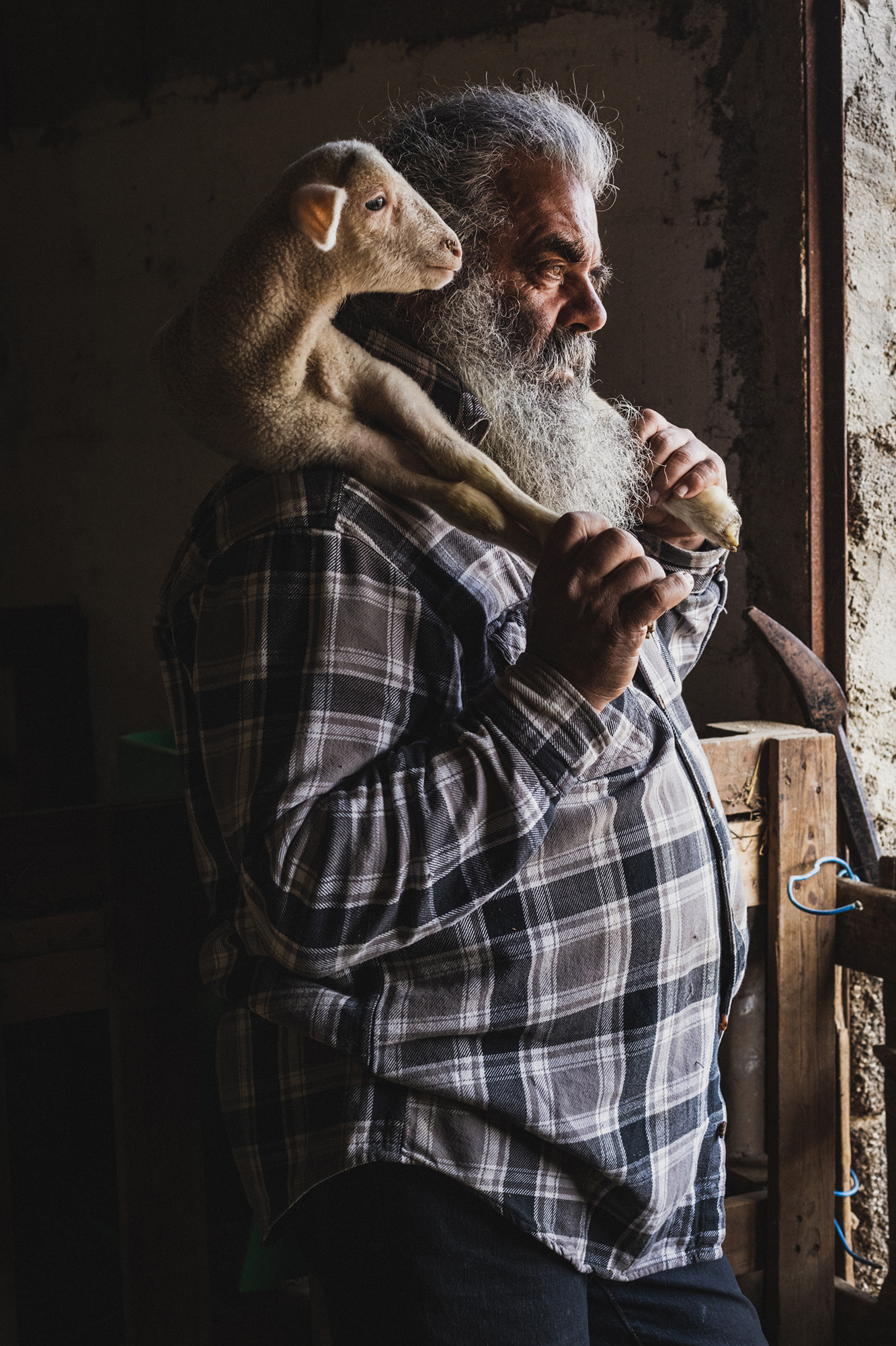 The last transhumance