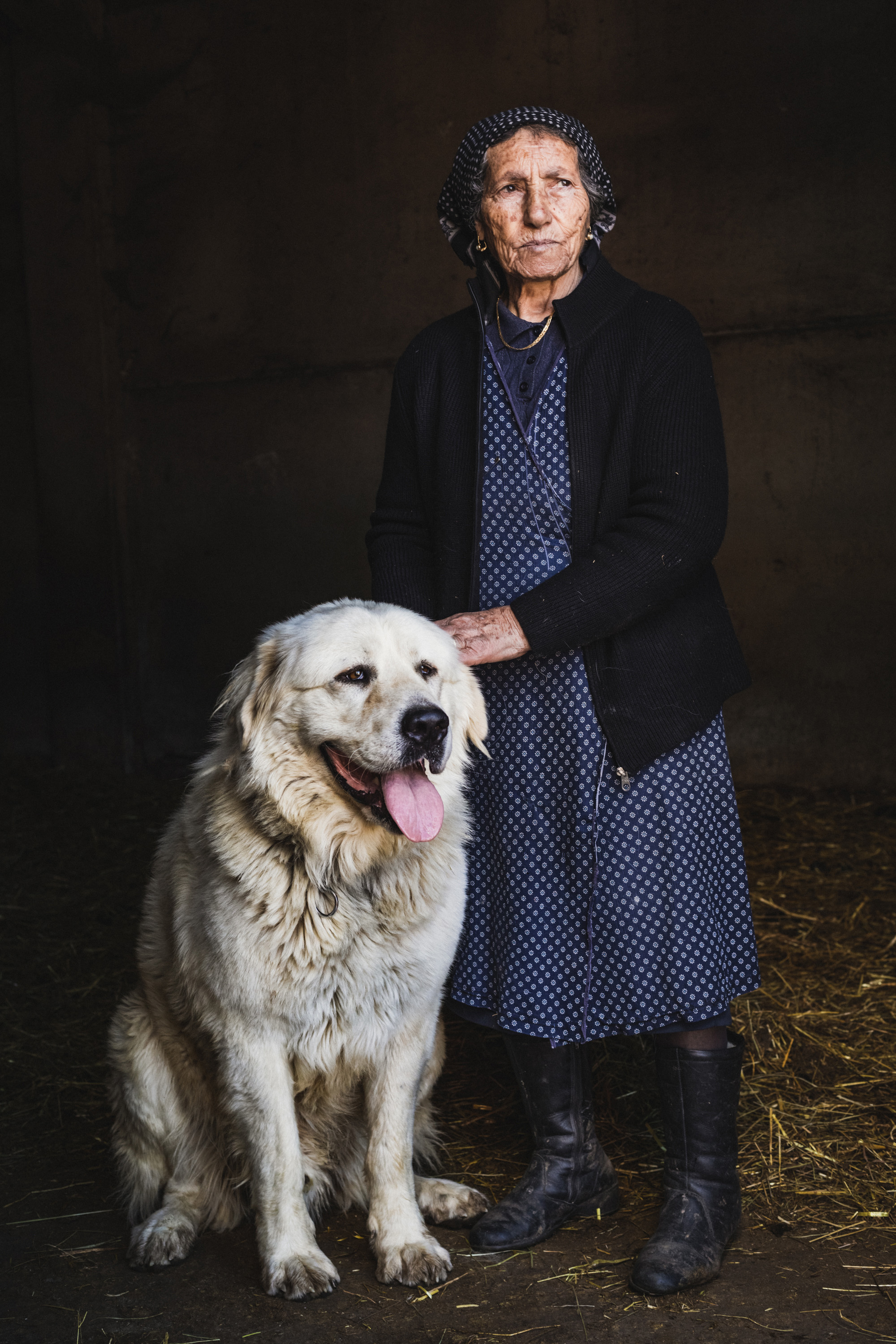 The last transhumance