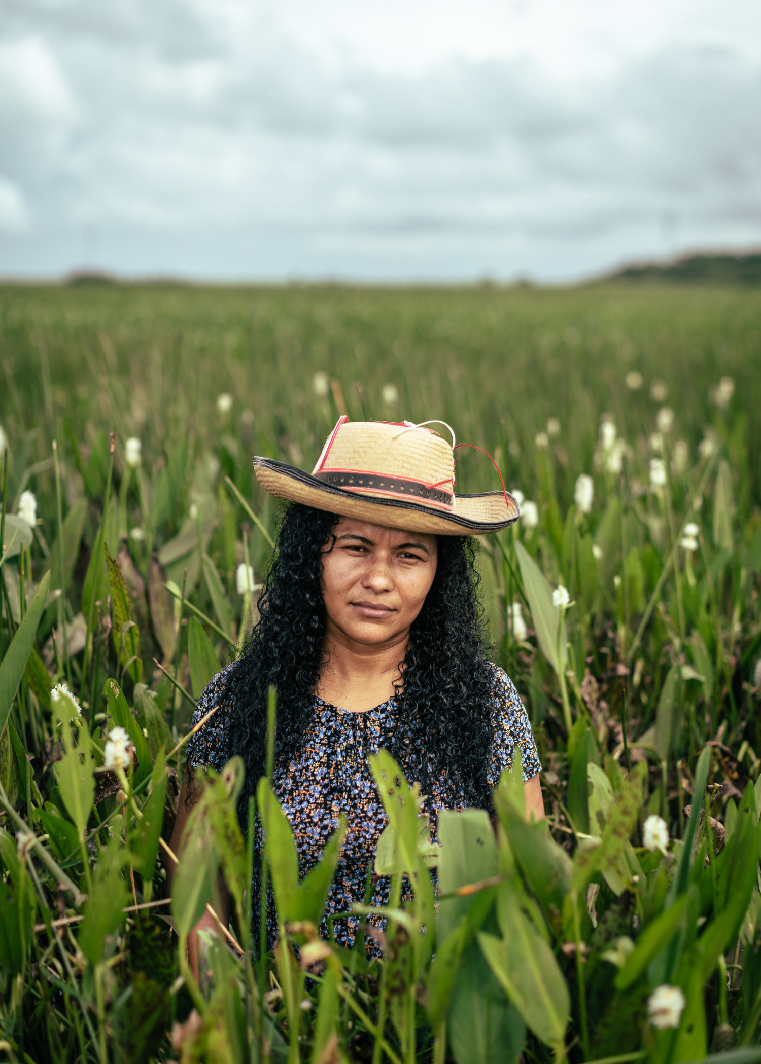 The Amazon's fringe
