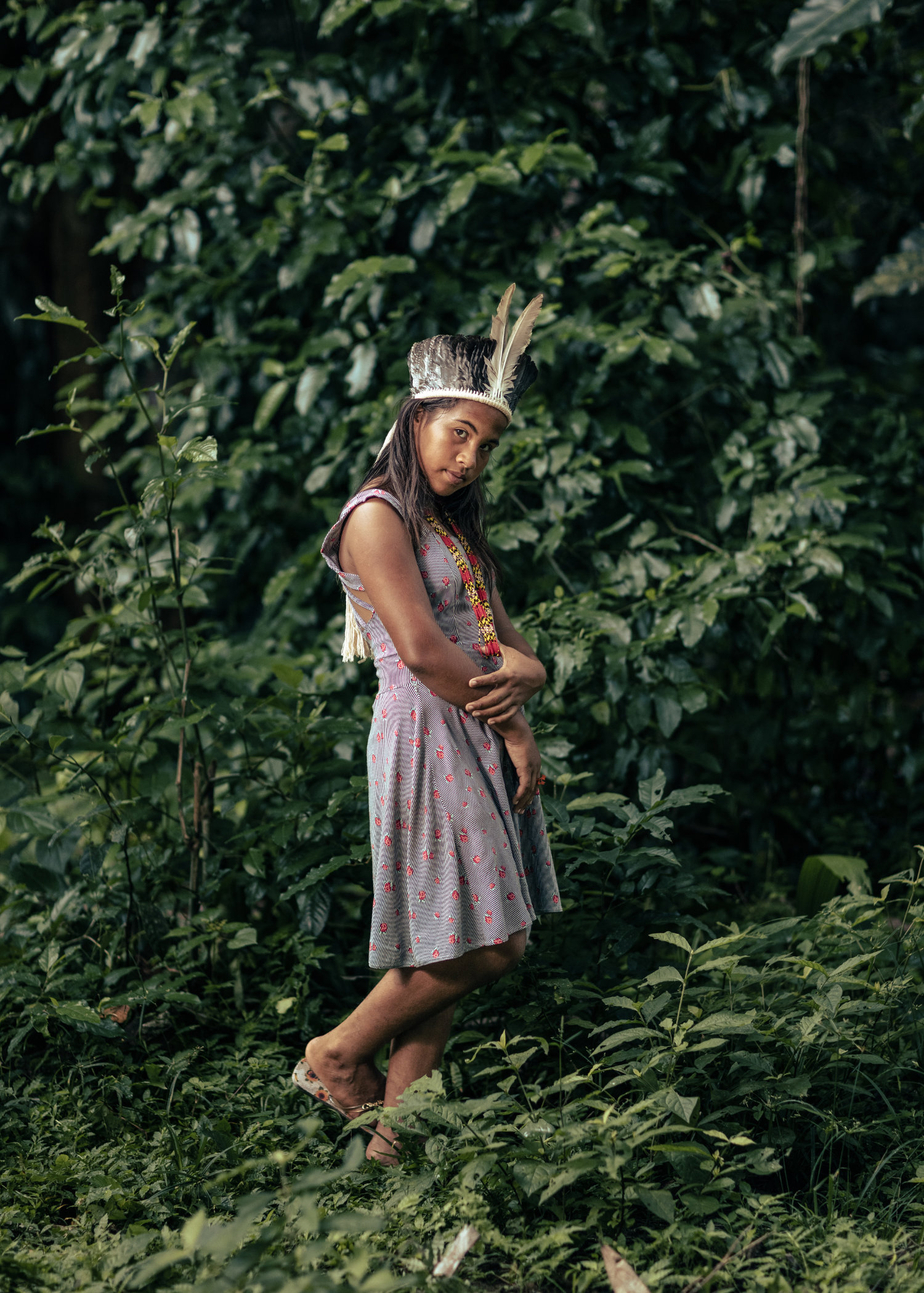 The Amazon's fringe