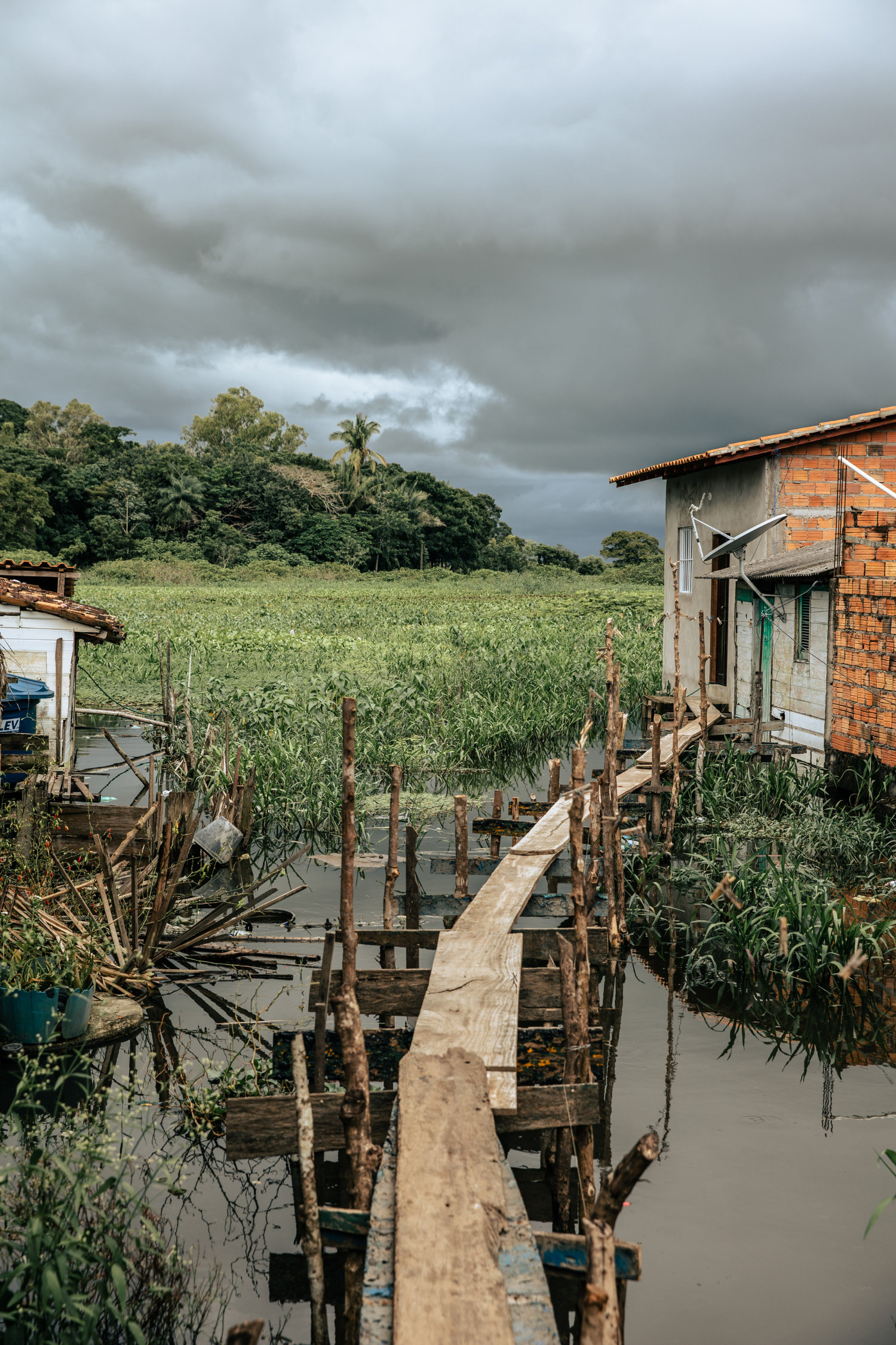 The Amazon's fringe