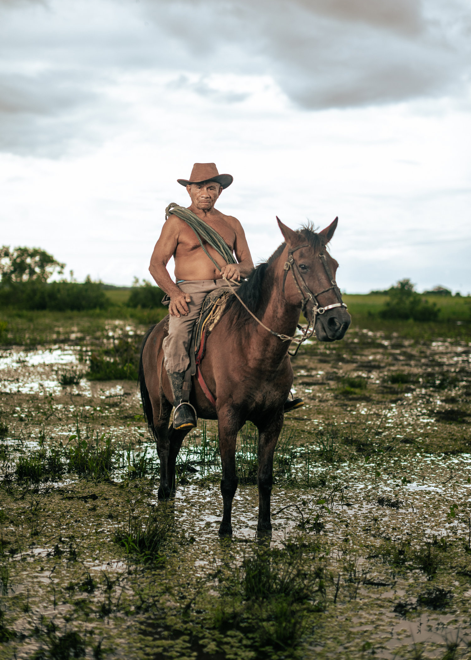 The Amazon's fringe